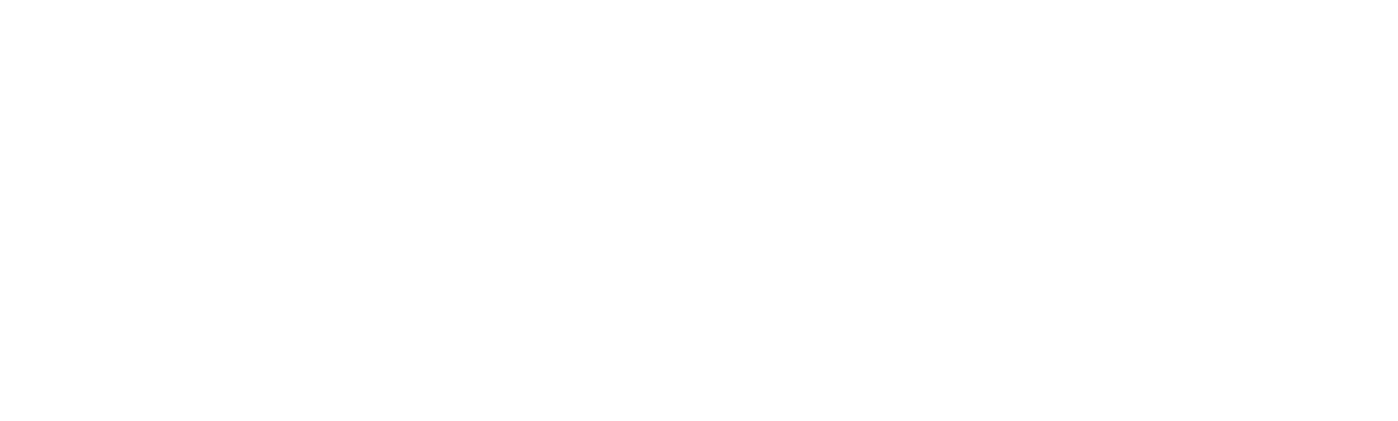 Chronicle Capital Management logo
