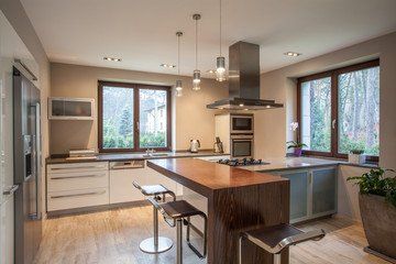 modern style kitchen