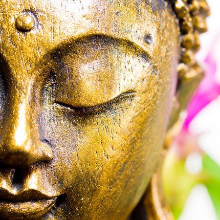 Close-up of a weathered, gold-toned Buddha statue face with closed eyes, accented by soft-focus pink flowers in the back.