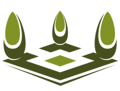 alberi e piante
