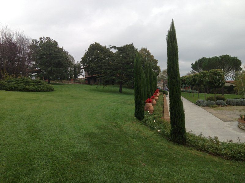 alberi