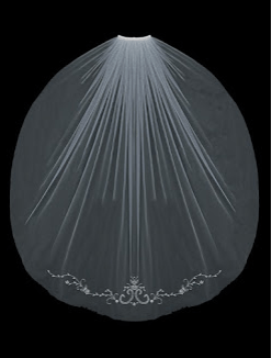 En Vogue veil