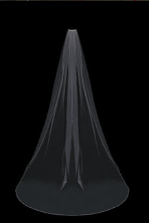 En Vogue veil