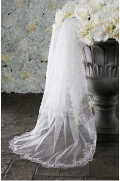 En Vogue veil