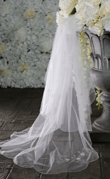 En Vogue veil