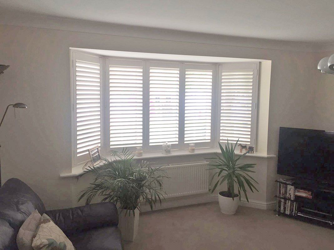 Duette blinds