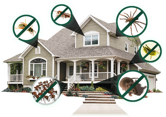 House with insect and rodent icons overlaid, representing pest control services.