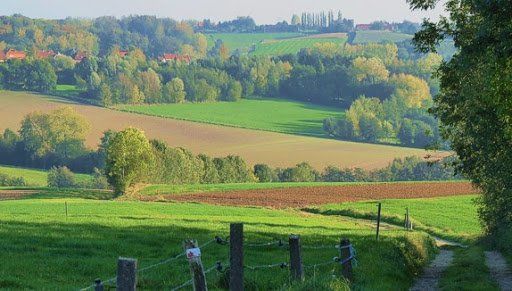 Wandelen in het heuvelachtige landschap van de Vlaamse Ardennen.
