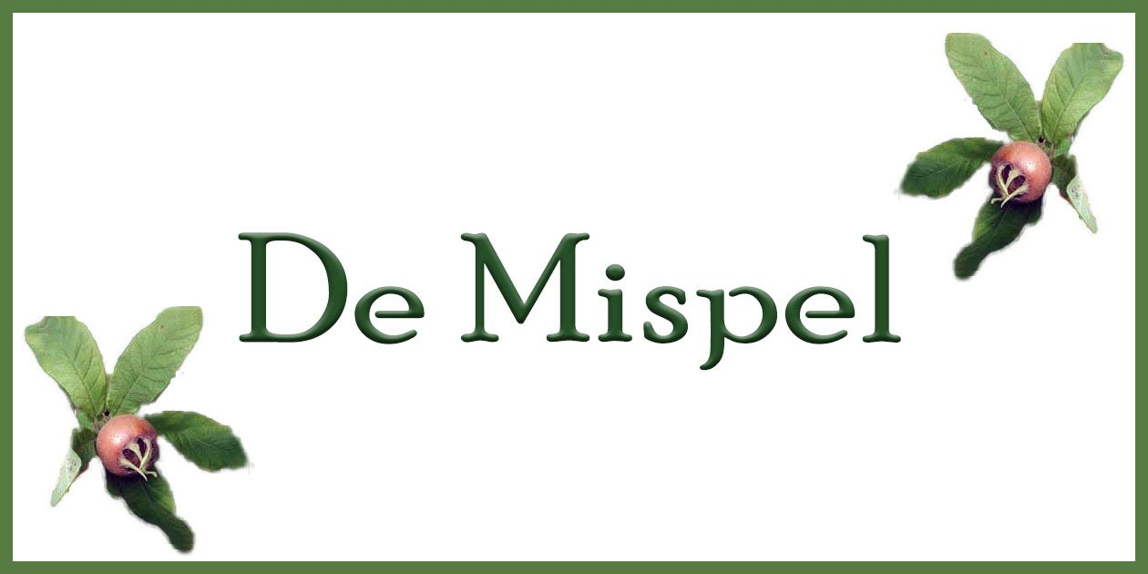 logo De Mispel