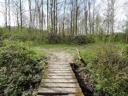 Vlonderpad in het bos t' Ename.