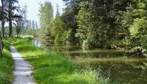 De Zwalmvallei is gekend voor zijn pittoreske wandelingen langs mooie beekjes.