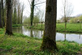 De Zwalmvallei is gekend voor zijn pittoreske wandelingen langs mooie beekjes.