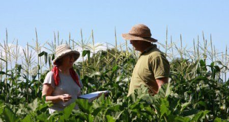 Bangalow Farm