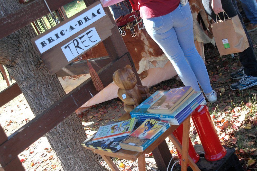 collection of books