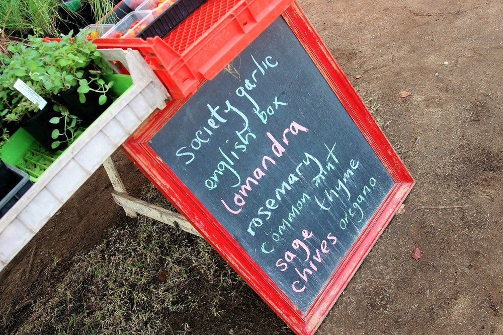 list of plants