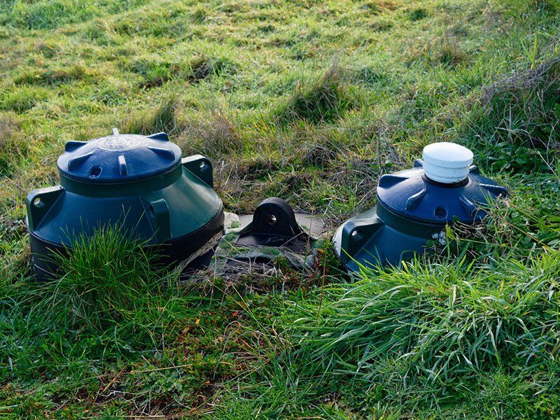Two green septic tank lids in grassy field.