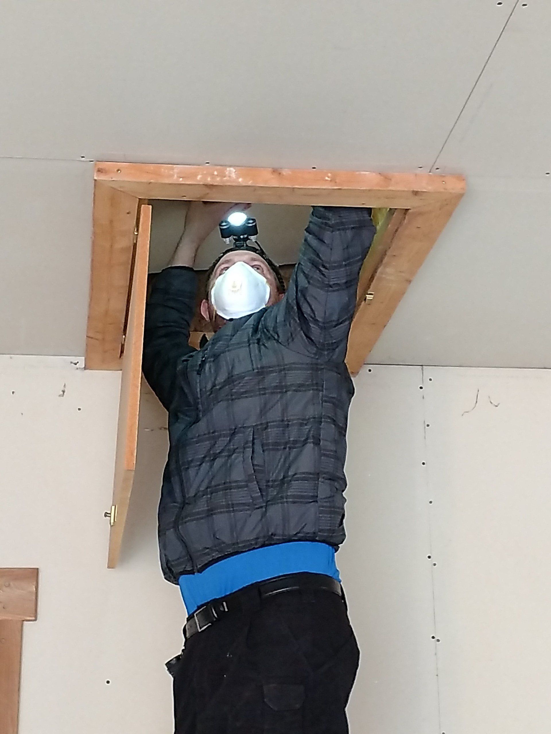 wood home inspections