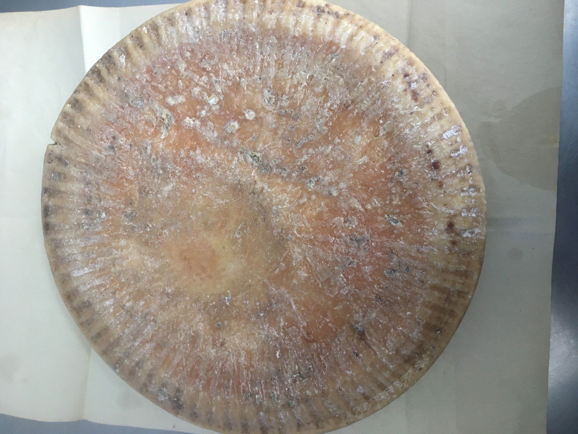 forma formaggio