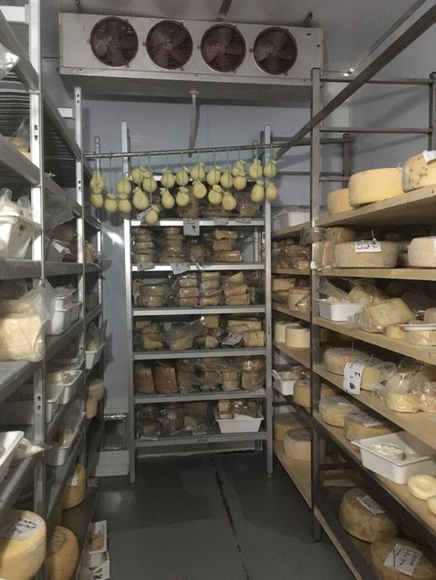Formaggi stagionati