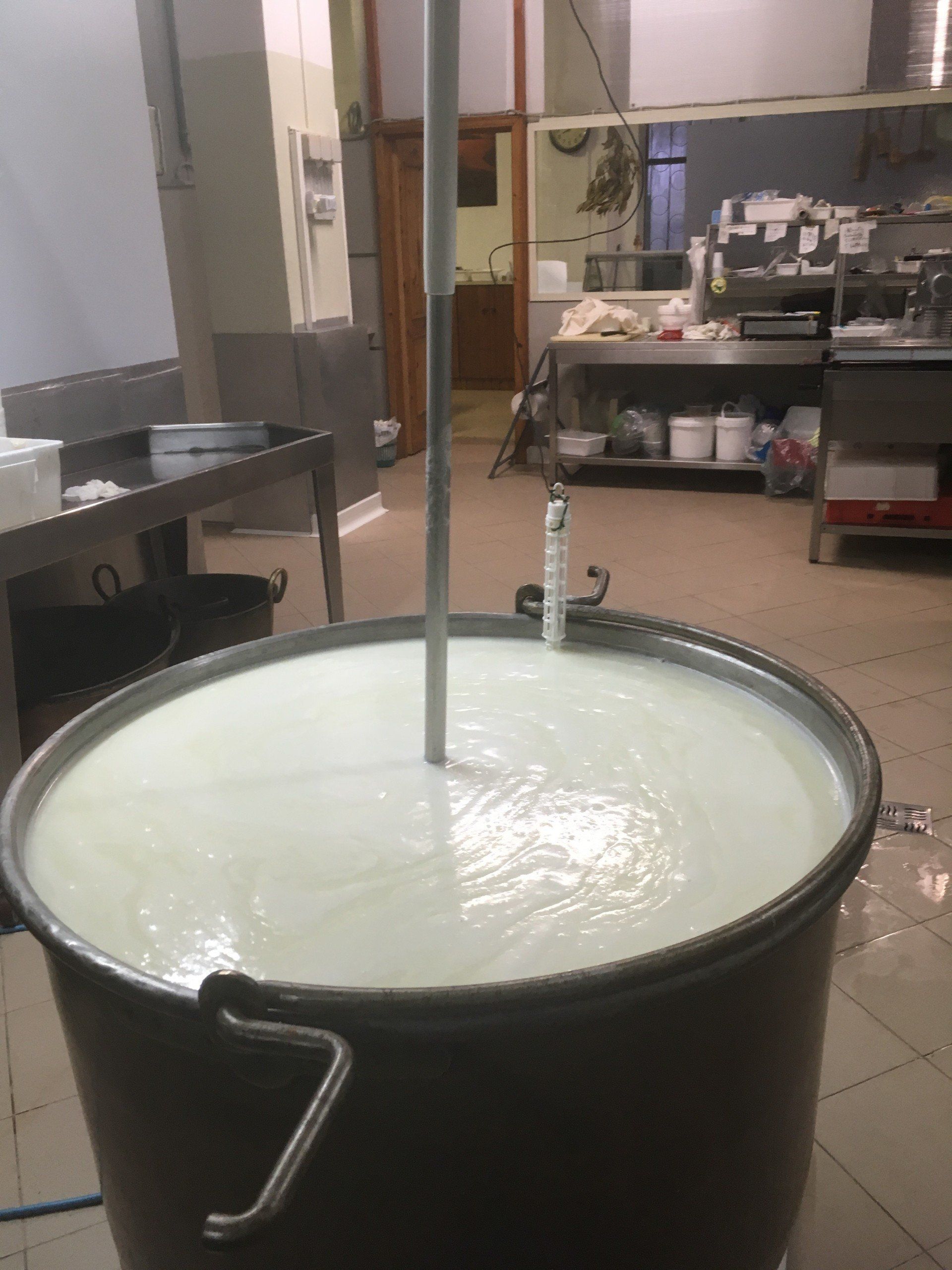 creazione formaggio