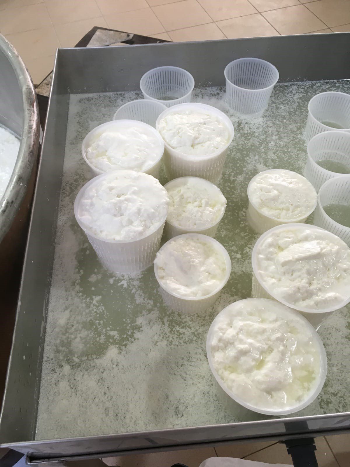 ricotta