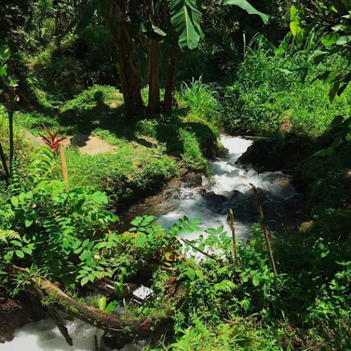 Bali Sacred Spring Tirtha Gangga