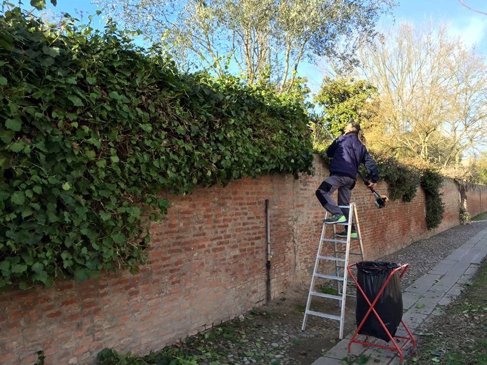 igienizzazione superficie