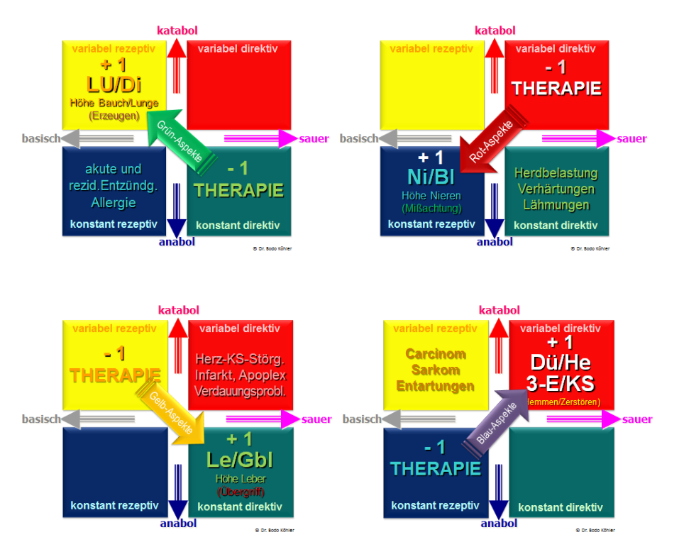 Ein Diagramm, das verschiedene Therapiearten in unterschiedlichen Farben zeigt
