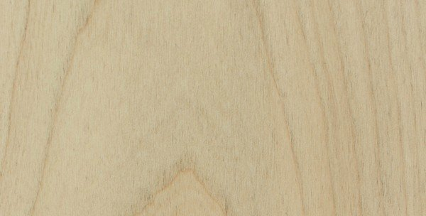 Alder