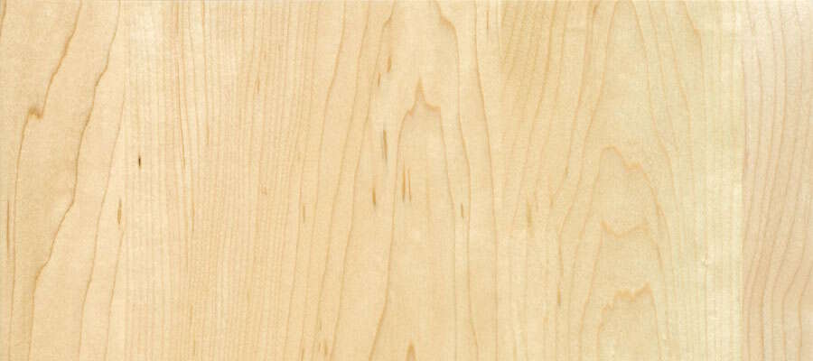Maple