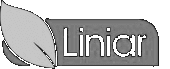  Liniar