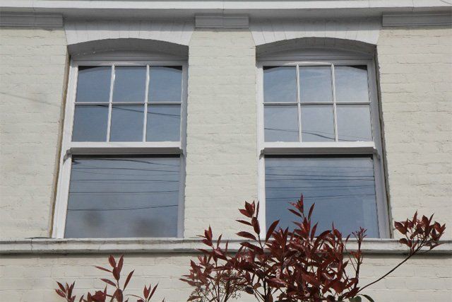 Two white-framed windows on a pale stone building, partly obscured by red-leafed shrubs.