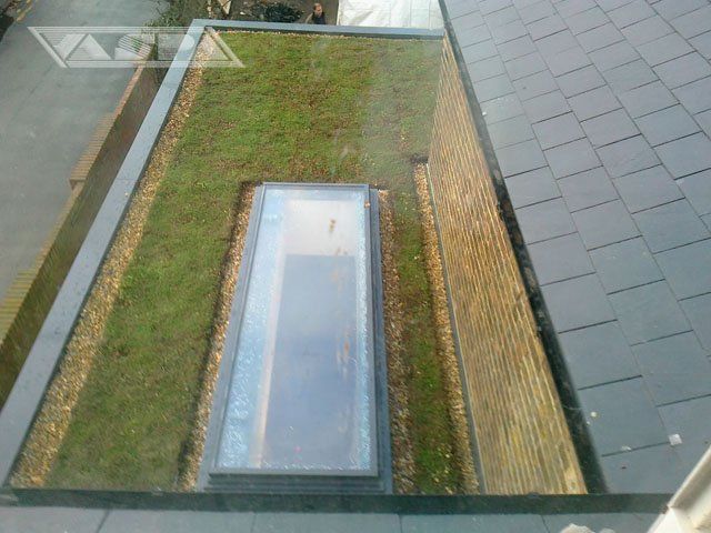 Gallery 06