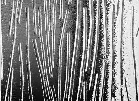 charcoal sticks patterned glass
