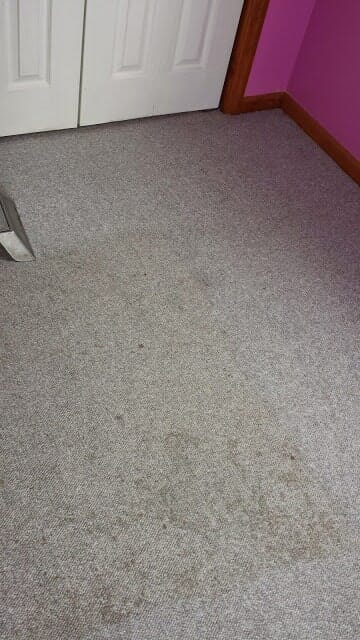 Stained Floor — Carpets And Upholstery in Beaver, PA