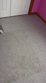 Floor — Carpet Cleaning in Beaver, PA
