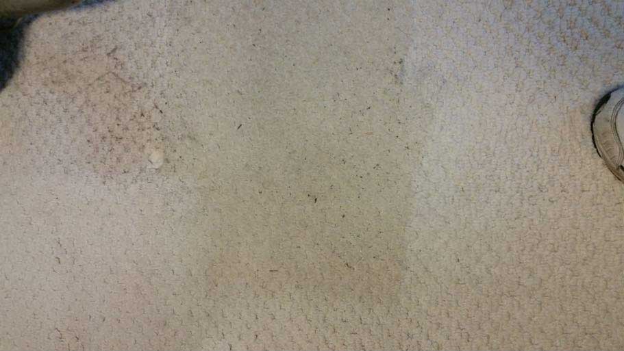 Gray Carpet — Carpets And Upholstery in Beaver, PA