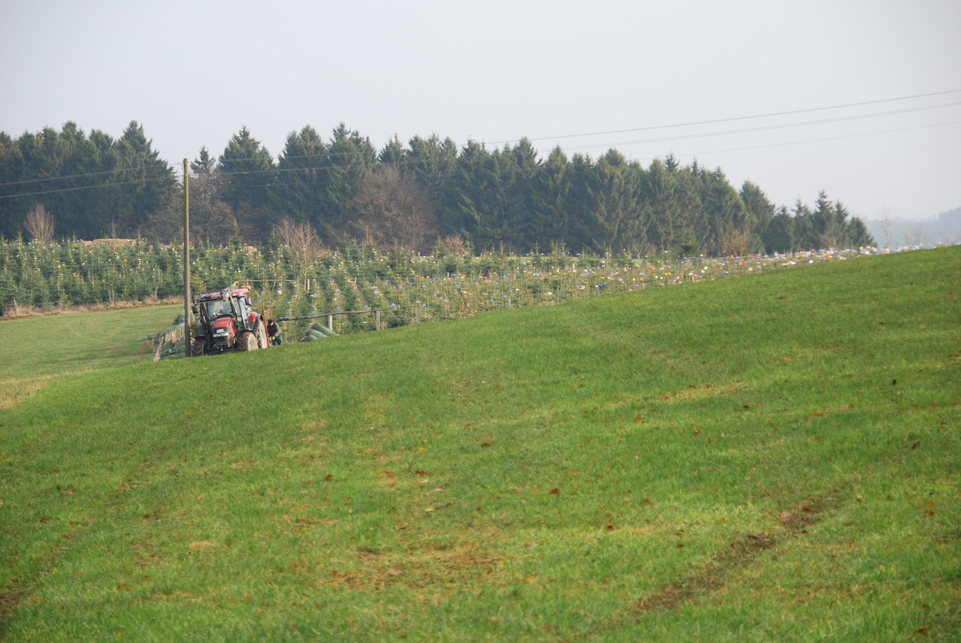 Ein Traktor fährt durch eine Wiese mit Bäumen im Hintergrund.