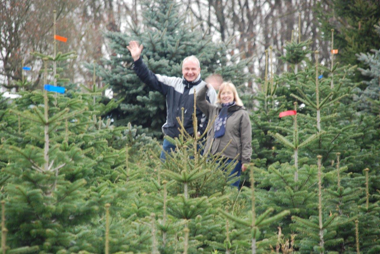 Ein Mann und eine Frau stehen auf einem Feld mit Weihnachtsbäumen.