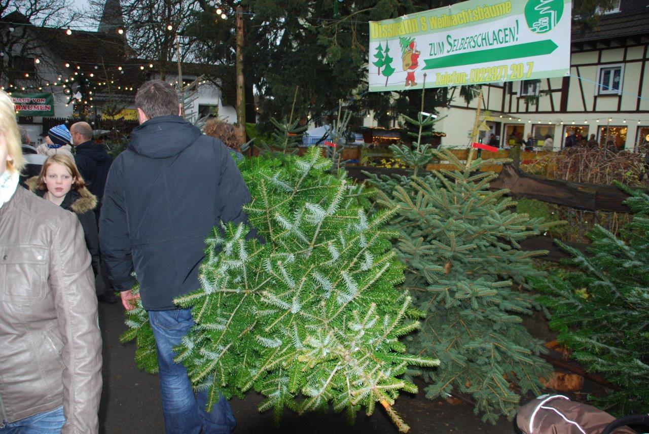 Ein Mann trägt einen Weihnachtsbaum auf seinem Rücken