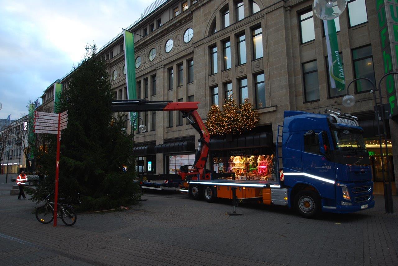Ein blauer Lastwagen transportiert einen Weihnachtsbaum vor einem Gebäude.