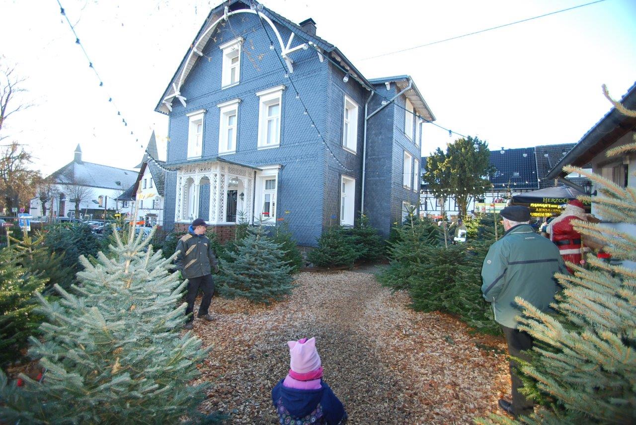 Ein kleines Mädchen steht vor einem großen Haus, umgeben von Weihnachtsbäumen.