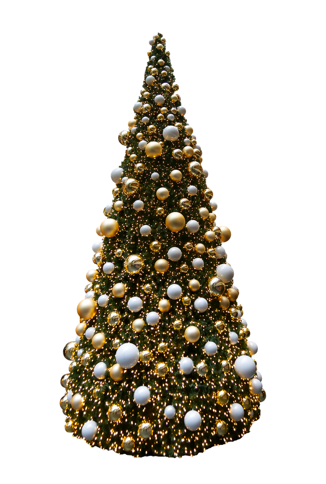 Weihnachtsbrauch: Wie die Tanne zum Christbaum wurde!