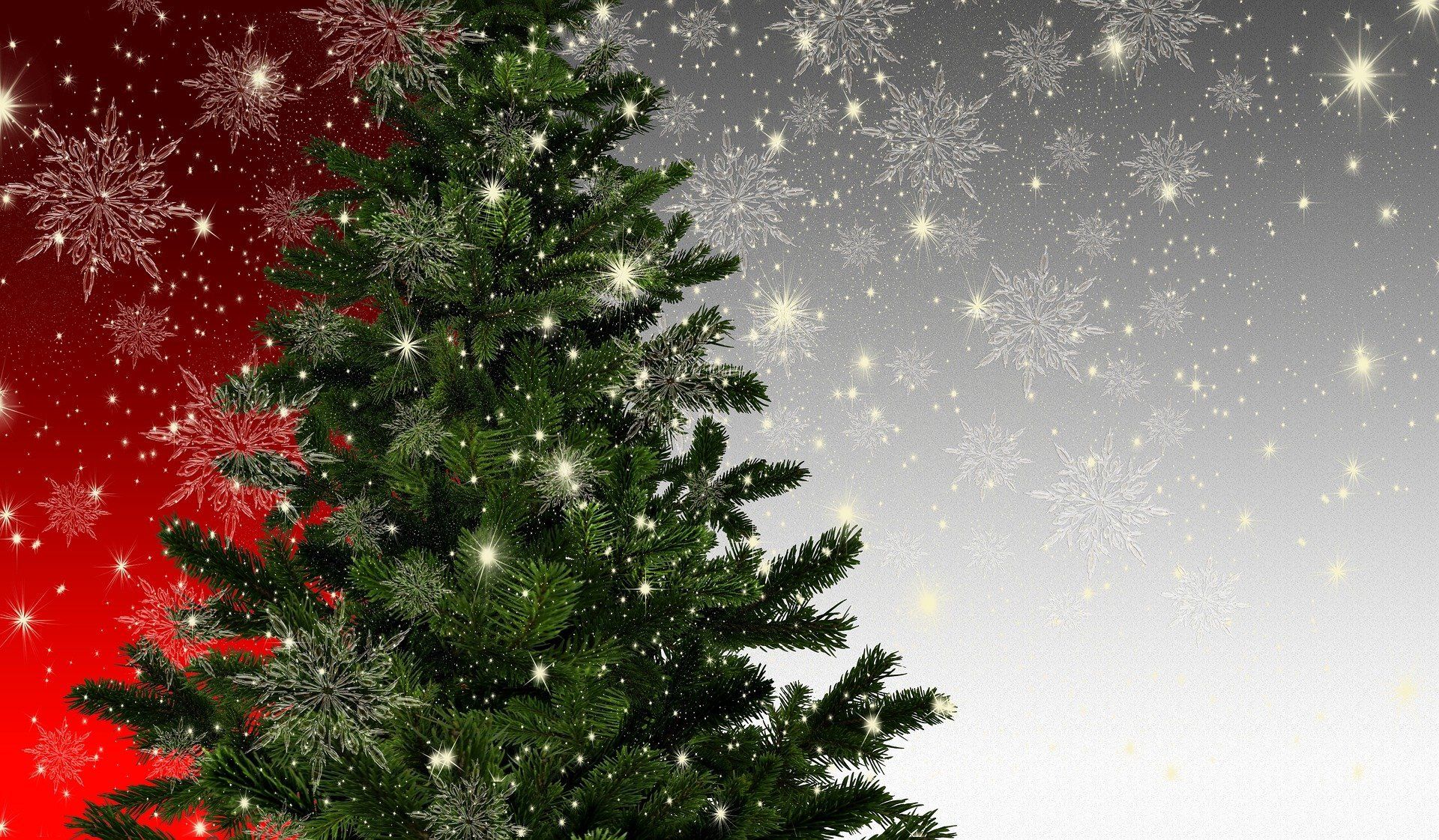 Ein Weihnachtsbaum ist von Schneeflocken und Sternen umgeben