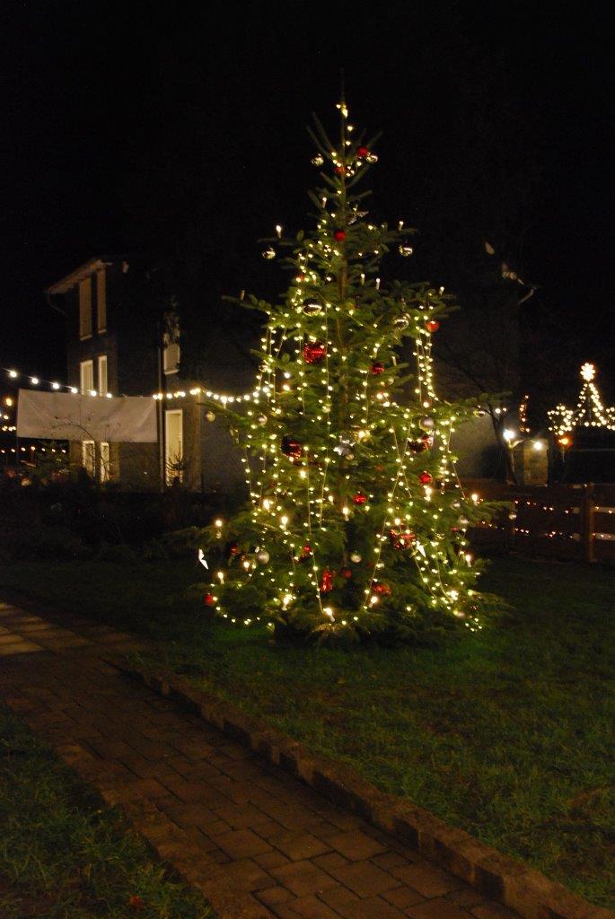 Ein Weihnachtsbaum ist nachts in einem Hof ​​beleuchtet