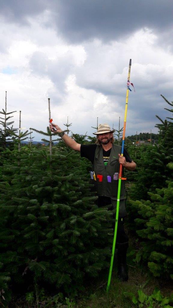 Ein Mann steht in einem Weihnachtsbaumfeld und hält eine lange Stange.