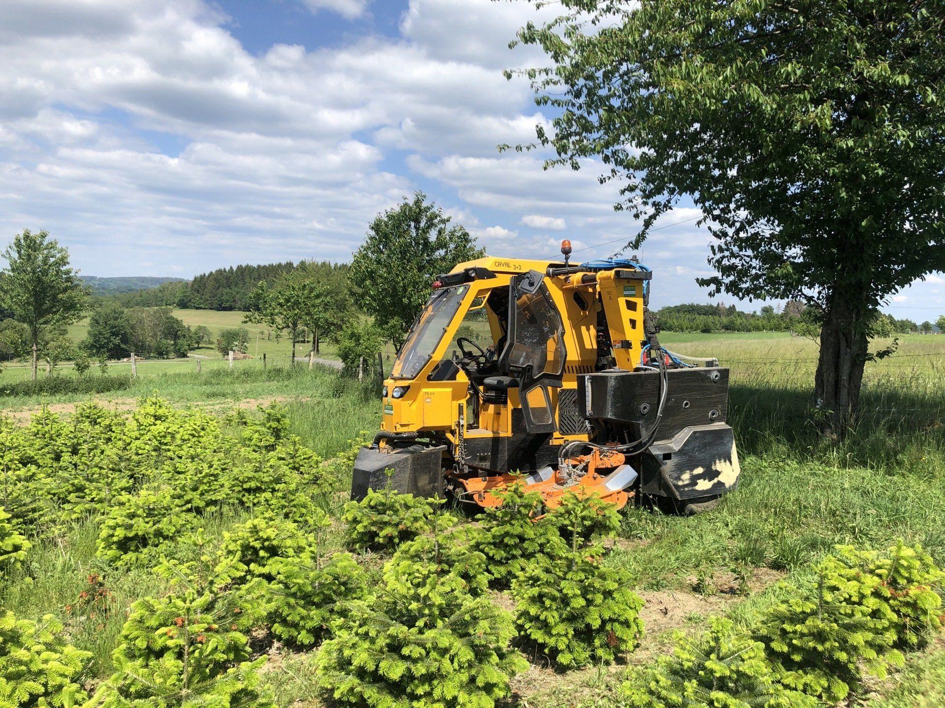Ein gelber Lastwagen fährt durch ein Pflanzenfeld.