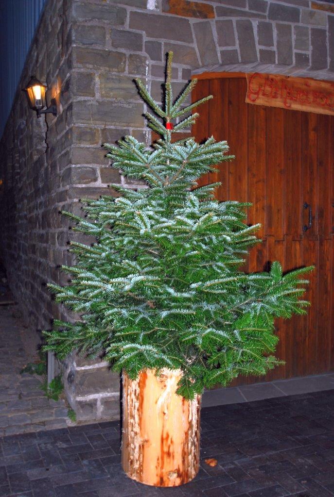 Ein Tannenbaum vor einer Steinmauer