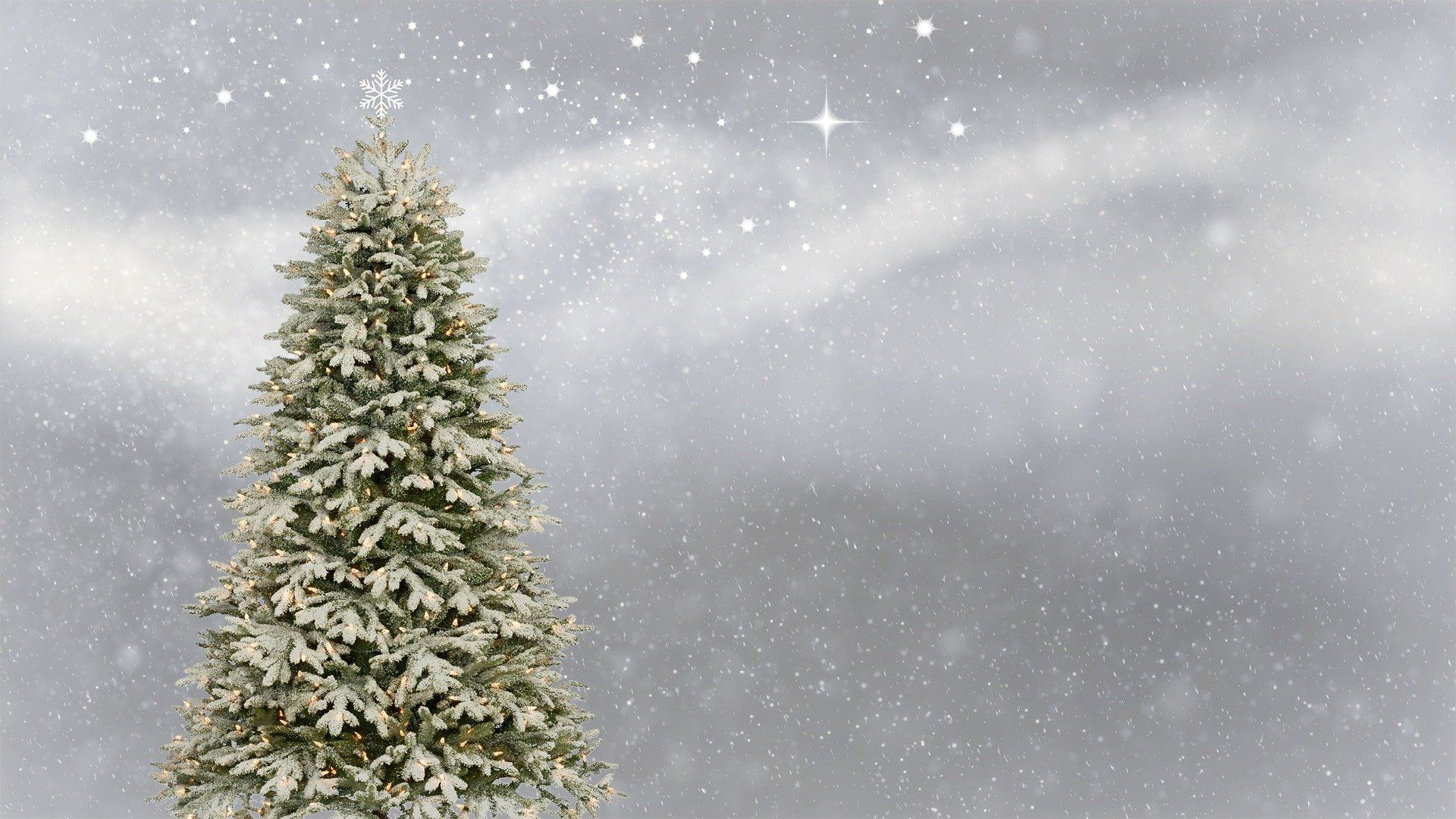 Ein verschneiter Weihnachtsbaum mit einem Stern am Himmel