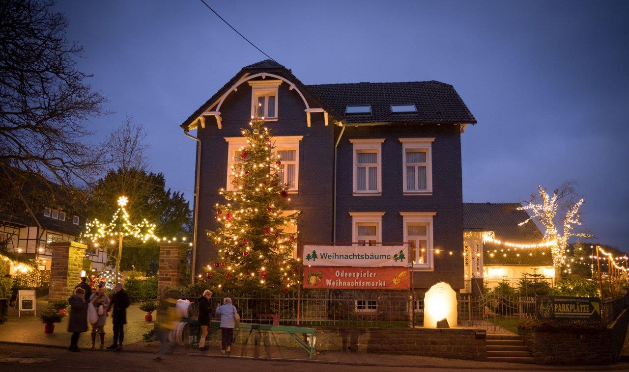Ein großes Haus mit einem Weihnachtsbaum davor.